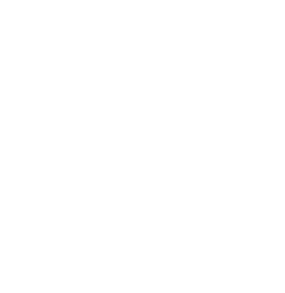 Ellipse 1 1